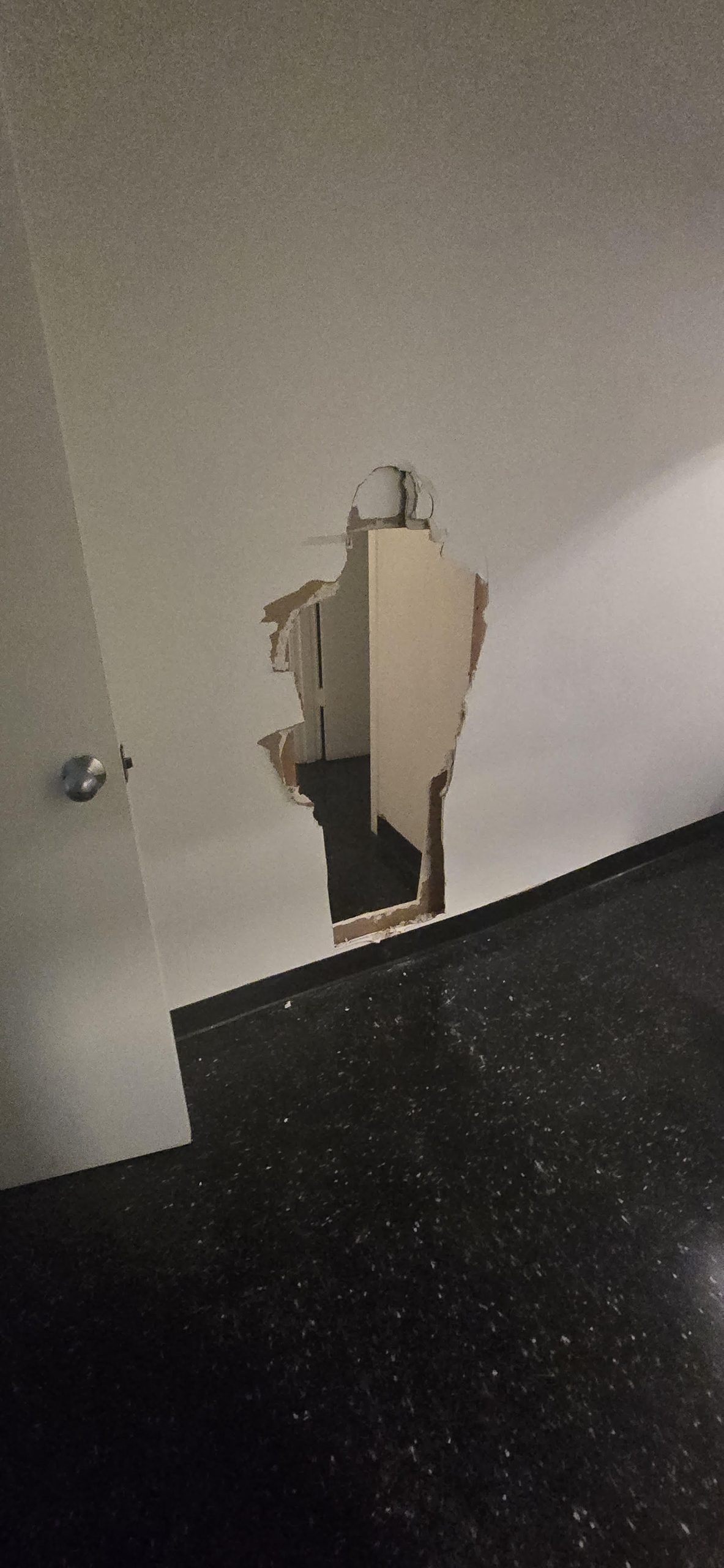 Renovation Drywall And Paint (20)